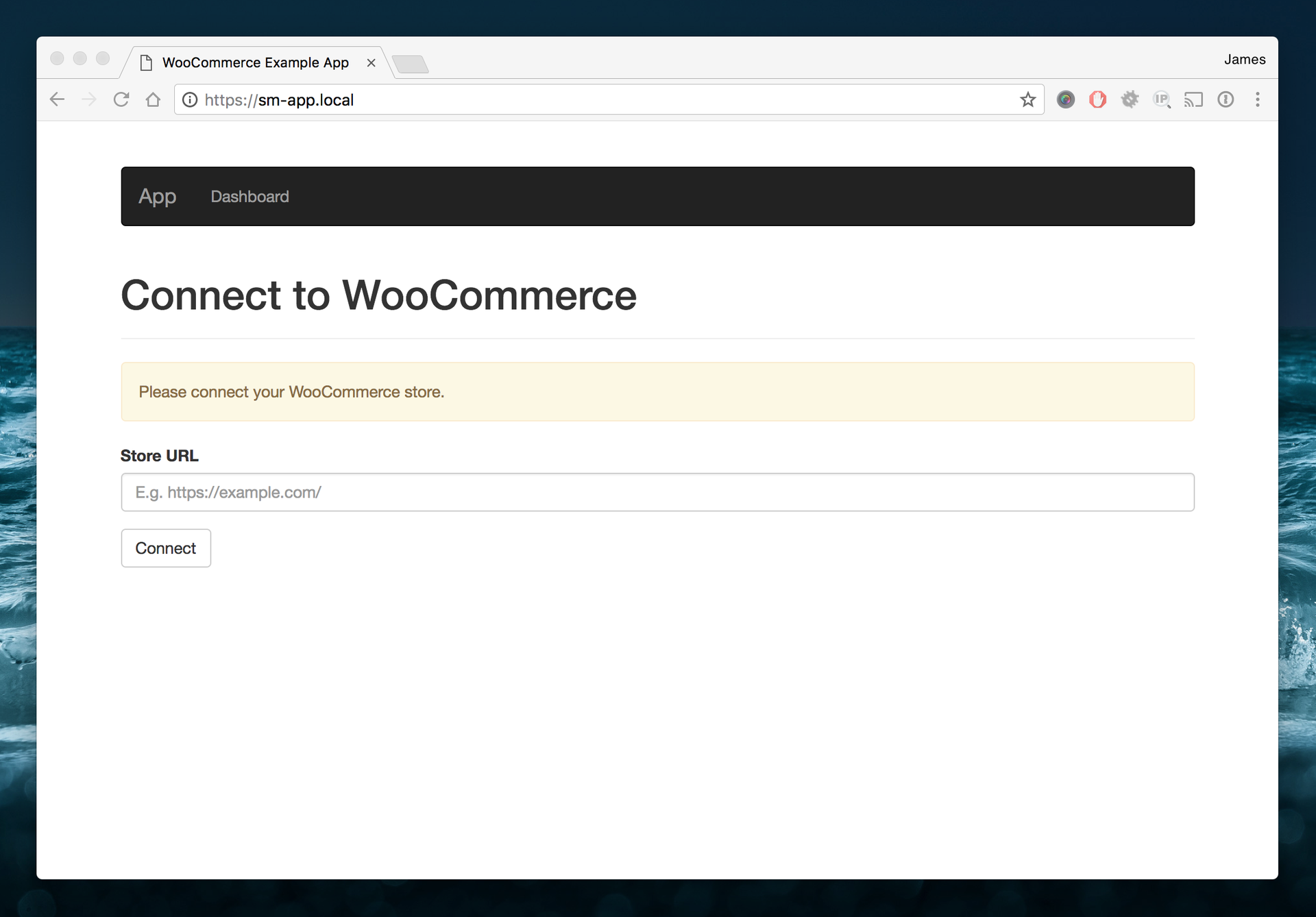 WooCommerce connect to the API form