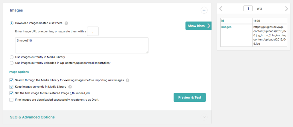 WPAllImport settings