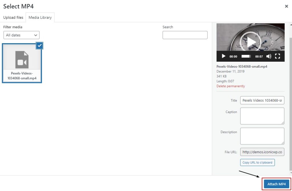 self hosted video woocommerce