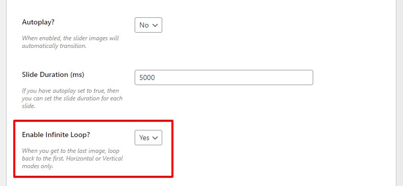 infinite loop woocommerce gallery