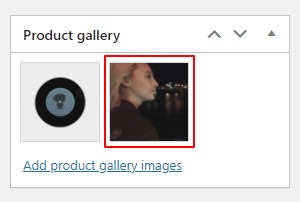 video added to gallery