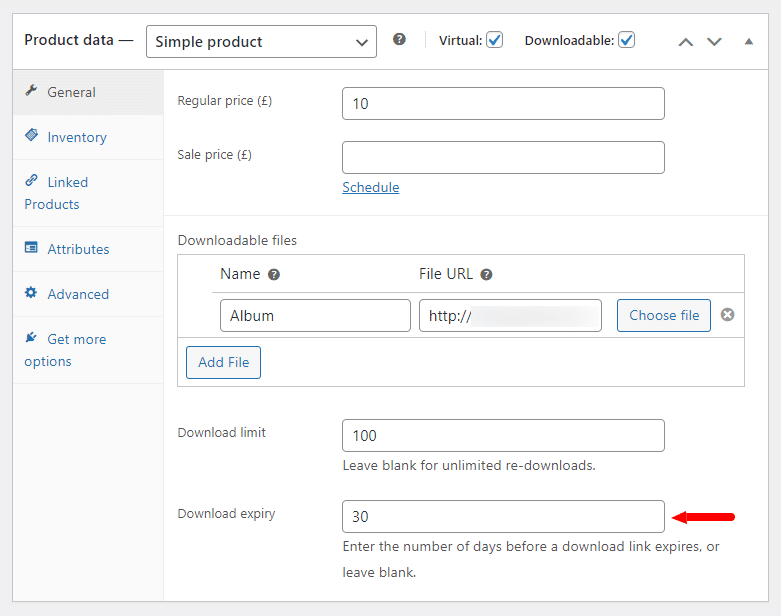 digital product download expiry
