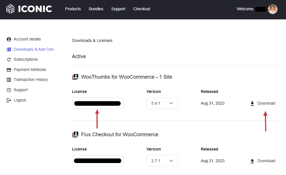 download and license key iconic