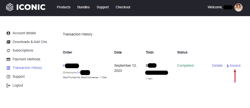 download invoice iconic