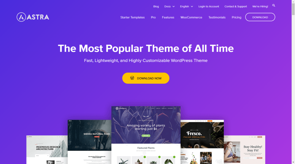 astra theme woocommerce