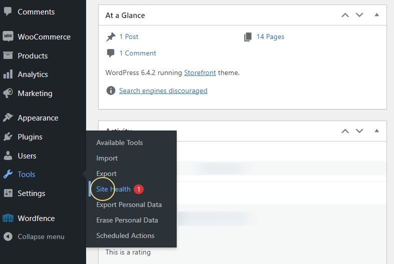 wordpress site health